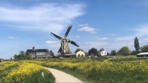 Destressing walk in this little Dutch village Nootdorp (2019)